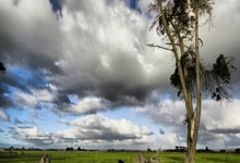 北汉巴赢得激烈对决，球迷热情高涨！