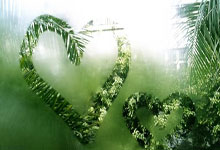 球队备战下一场比赛，队员训练备战：从细节到胜利的每一步