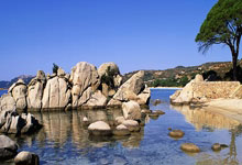 球队备战下一场比赛，队员训练备战：从细节到胜利的每一步